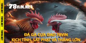 Đá Gà Cựa Dao
